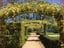 Mount Tomah Botanic Gardens Image -5b41880de39fb